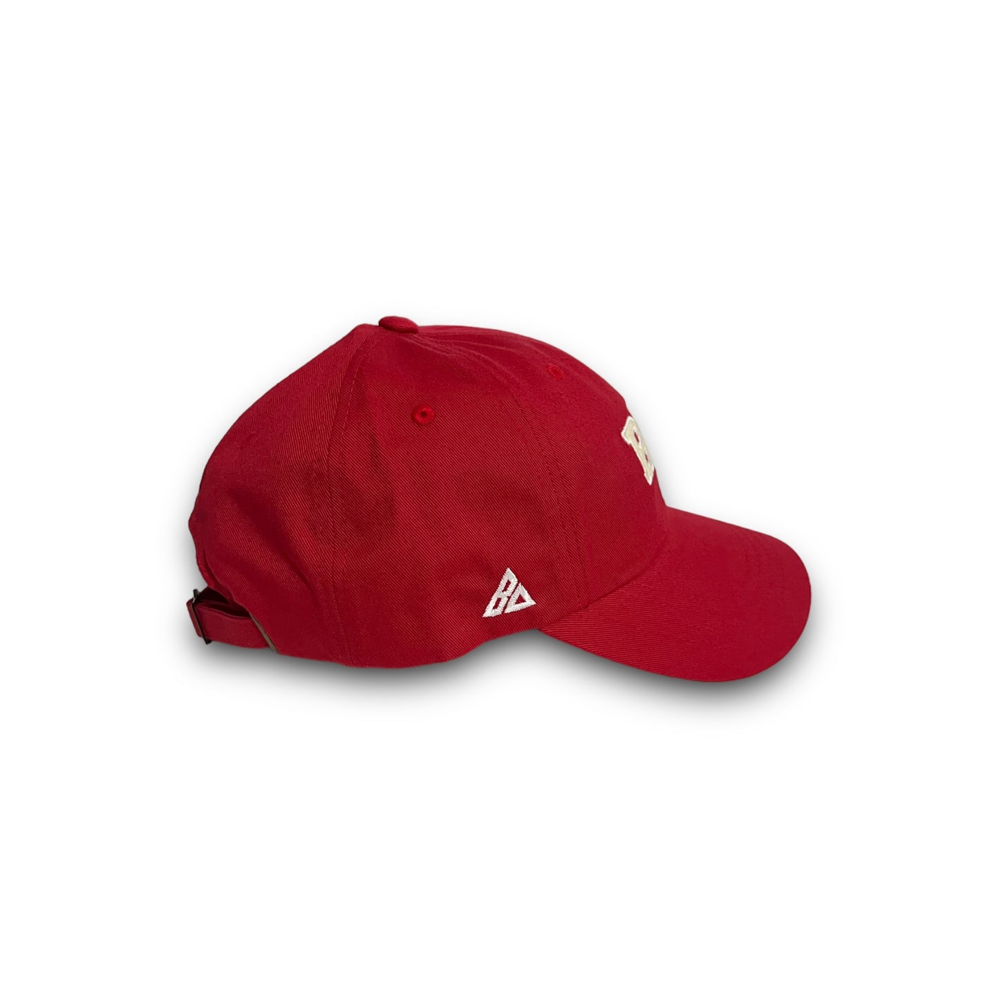 BD RISE dad cap