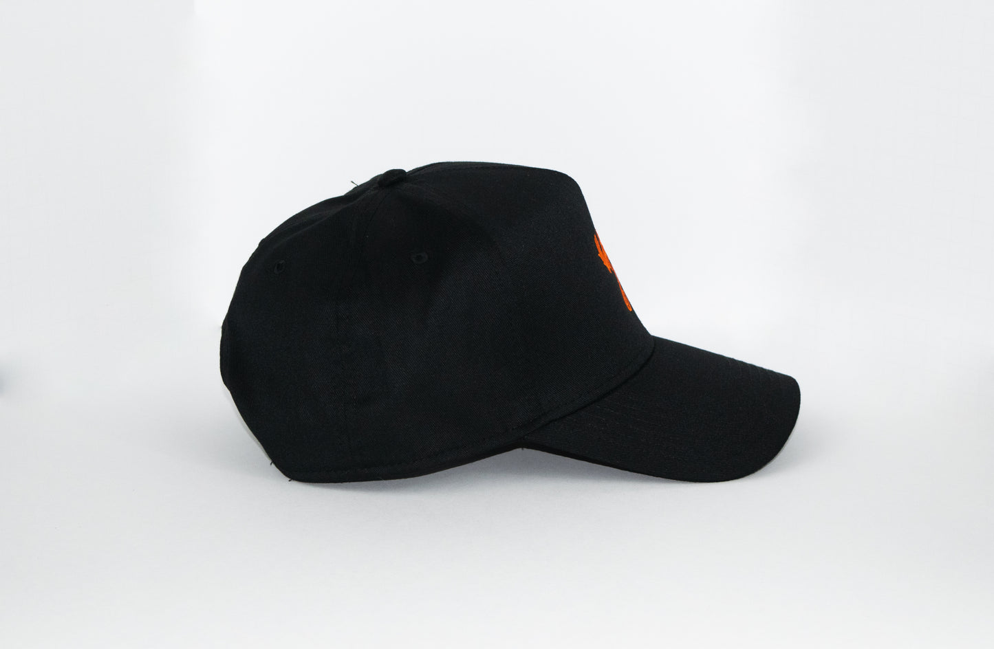 BD Phoenix Logo Cap